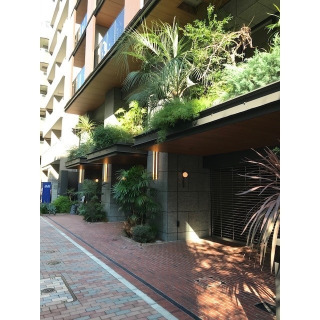 ASPRIME Hachobori 1405 - 281157