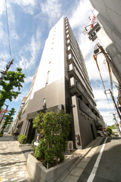Espaloma Mejiro 802 - 255053