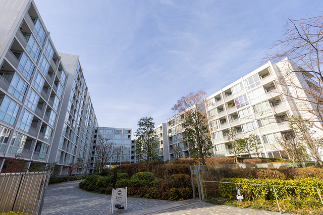 Gardenier Kinuta WEST 203 - 243836