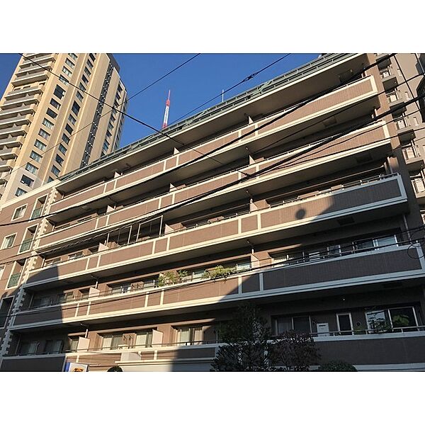 Famille Higashi-Azabu Bellfast 502 - 244925