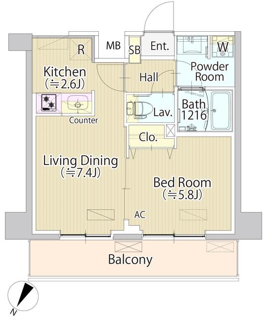 ＳＡＳＡＺＵＫＡ ＴＯＤＡＹ 216 - 304472