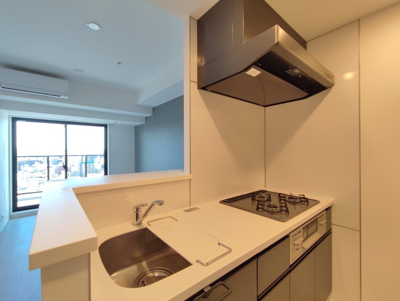 Cross Residence Takadanobaba 1105 - 221661