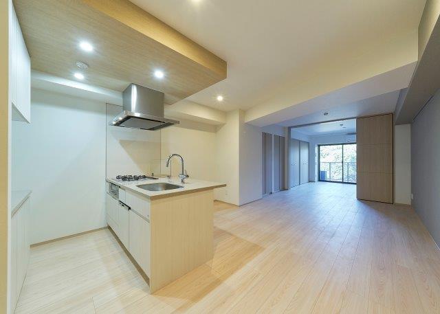 Opus Residence Minami Aoyama 206 - 224527