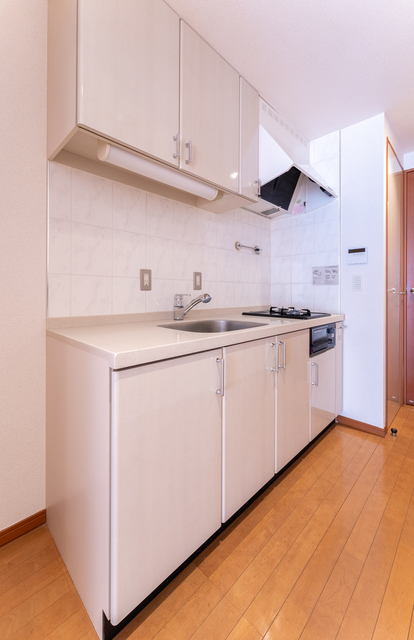 Orchid Residence Roppongi 102 - 234684