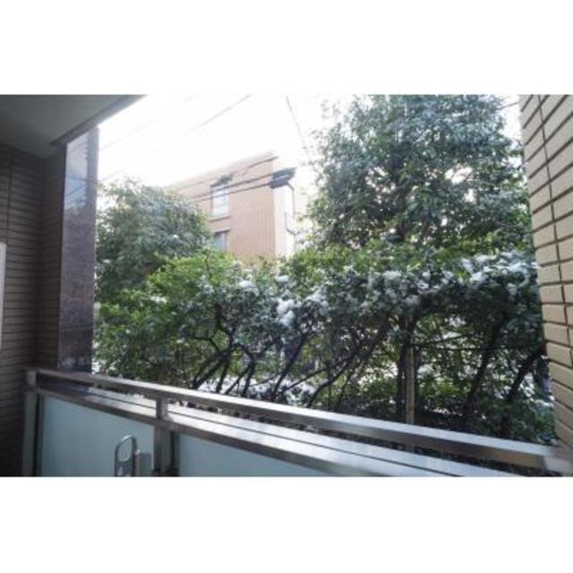 ＣＡＲＯ南青山 104 - 234293
