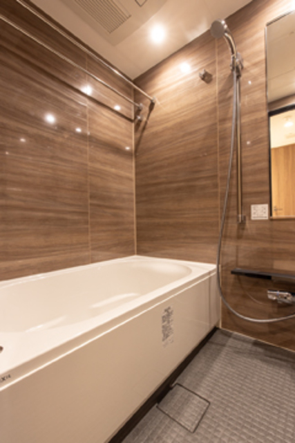 IS Ginza Residence 502 - 234579