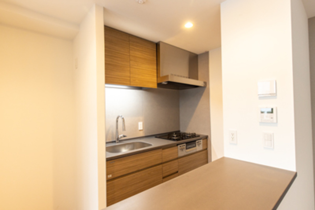 IS Ginza Residence 502 - 234578