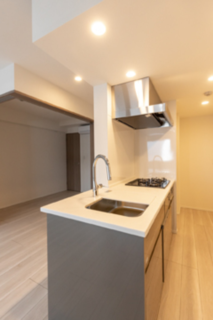 Green Residence Akasaka 313 - 239733