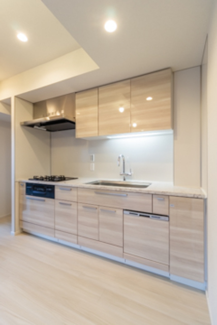 Conote Myogadani 503 - 242260