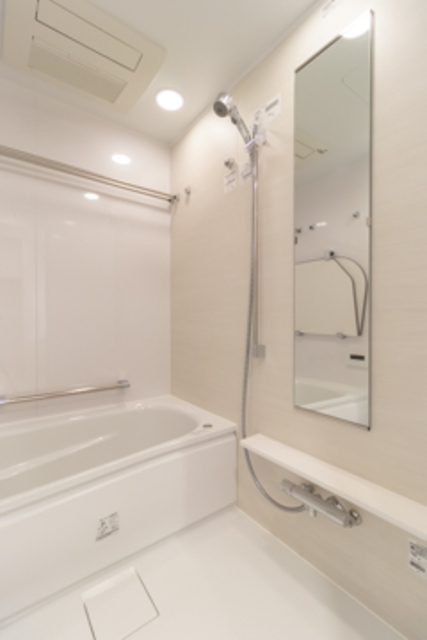 Conote Myogadani 503 - 242261