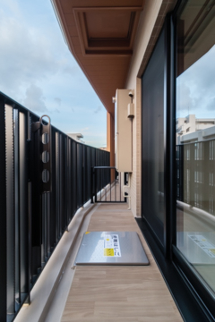 Conote Myogadani 503 - 242266