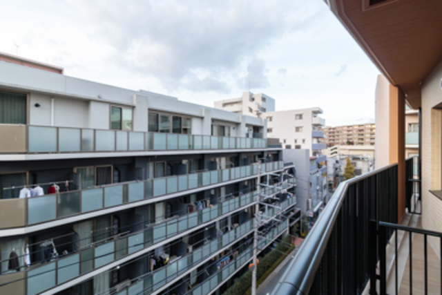 Conote Myogadani 503 - 242264