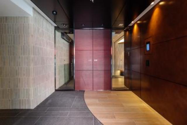 Conote Myogadani 503 - 242267