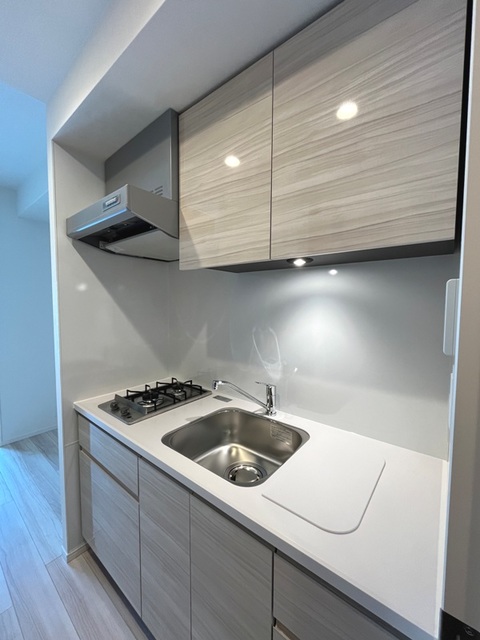 Park Axis Ryogoku Square 1202 - 255469