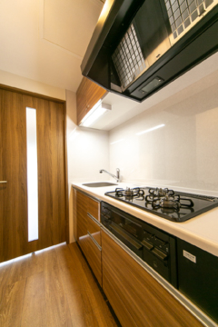 Residence Nishiwaseda 303 - 254682