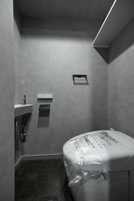 Alivio Gakugei University 309 - 254637