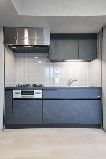 Alivio Gakugei University 309 - 254635