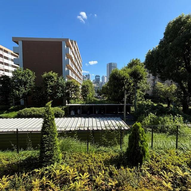 Park Axis Shinjuku Hyakunincho 213 - 290873