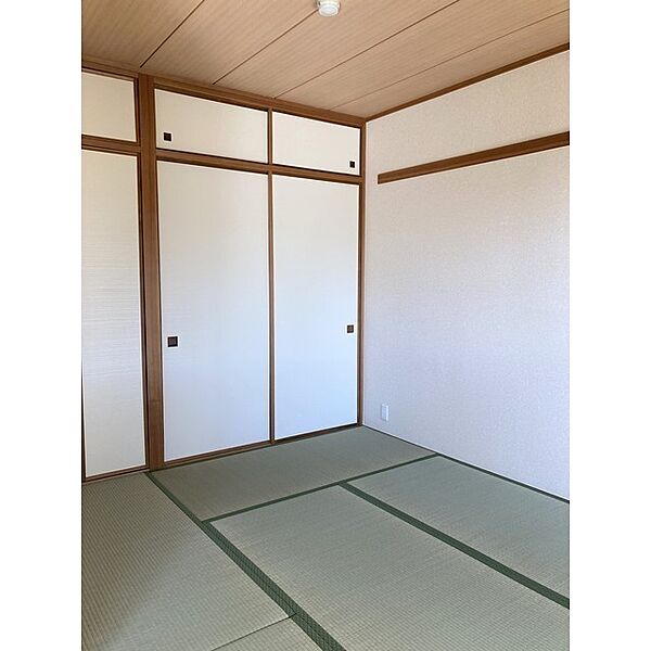 Relent Seijo 206 - 251435