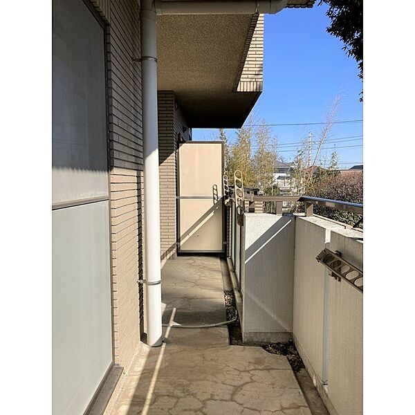 Relent Seijo 206 - 251433