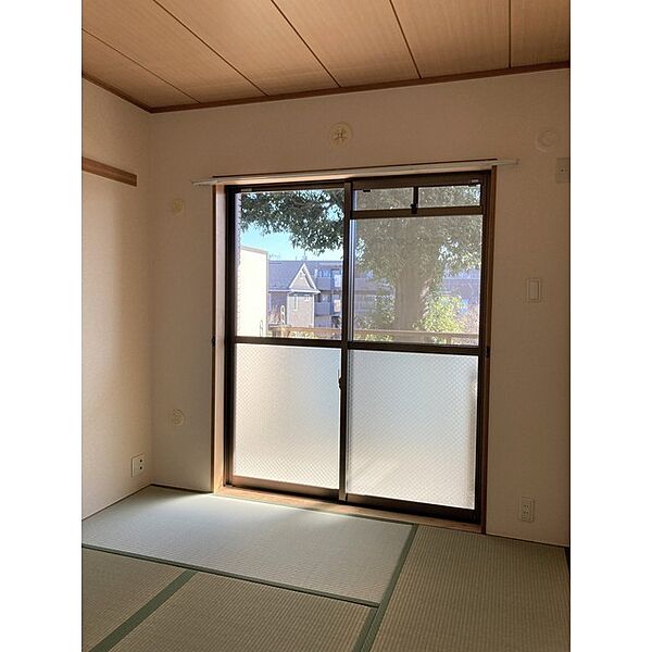 Relent Seijo 206 - 251432