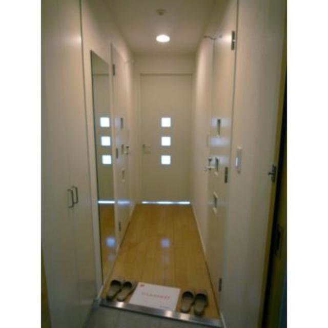 White Front 501 - 254498
