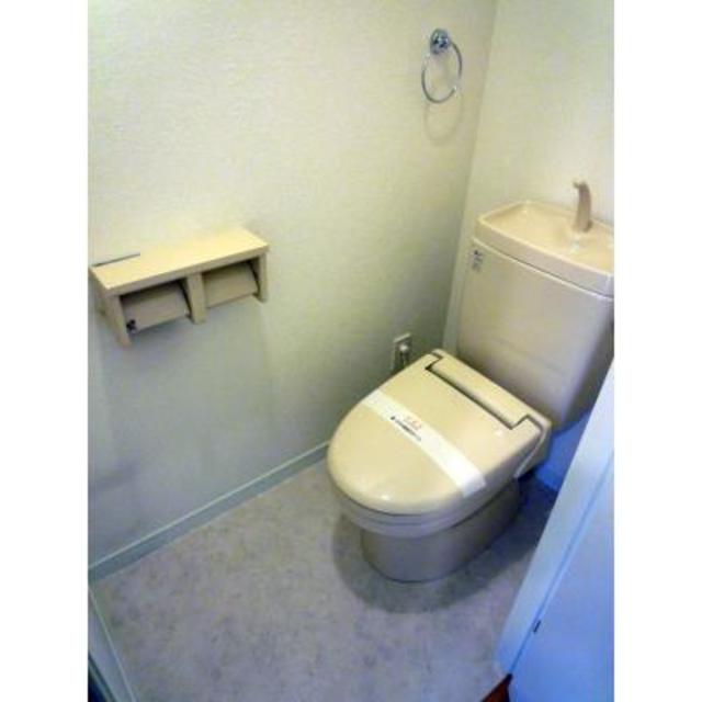 White Front 501 - 254501