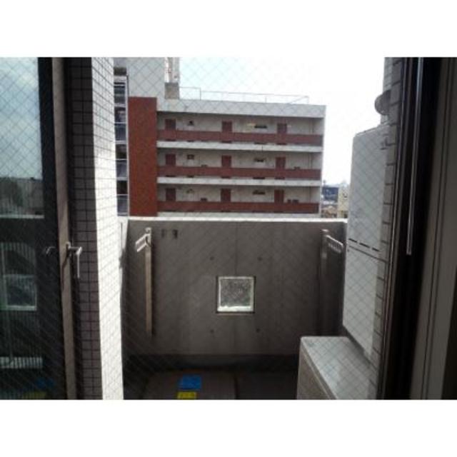 White Front 501 - 254503