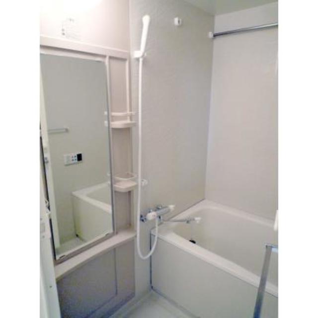 White Front 501 - 254500