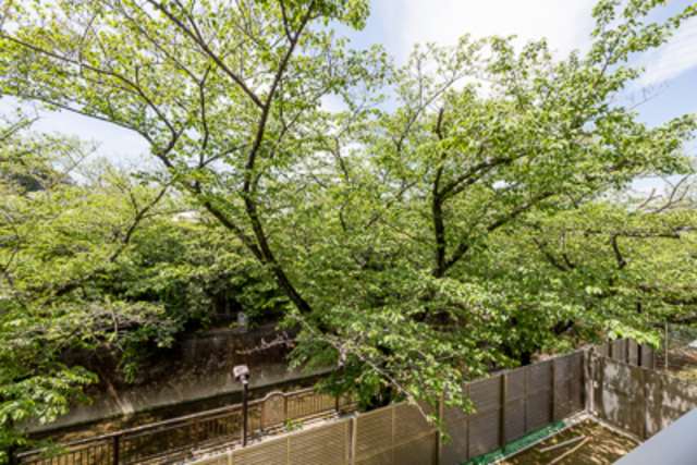 Abiti Grande Kinuta (Building A) 210 - 252425