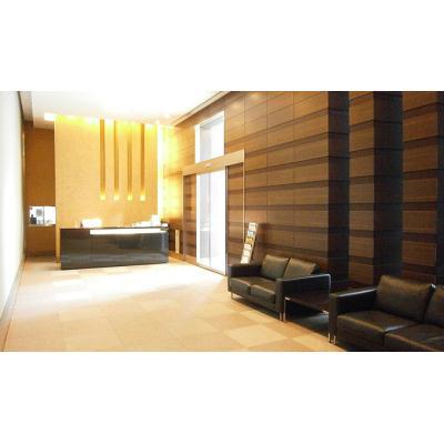 Park Tower Shibaura Bayward Urban Wing 605 - 278515