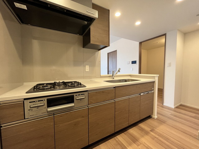 パークタワー勝どき サウス棟 1008 - 301858