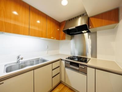 Rietto Court Arukusu Tower 508 - 266192