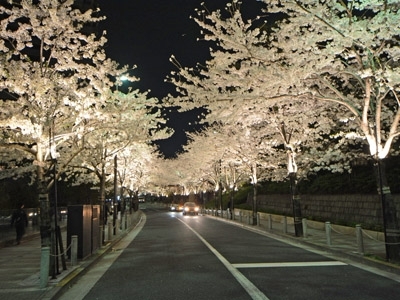 Roppongi View Tower 1511 - 261301