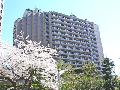 Roppongi View Tower 1511 - 261293