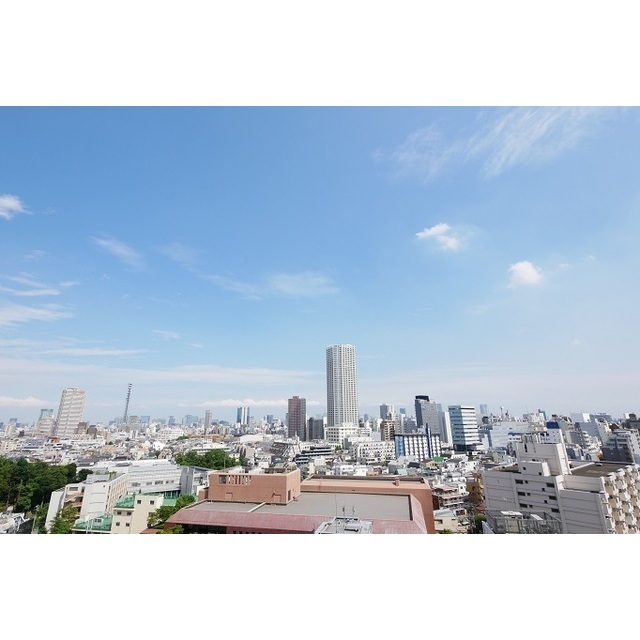 コンフォリア新宿イーストサイドタワー 1226 - 263574