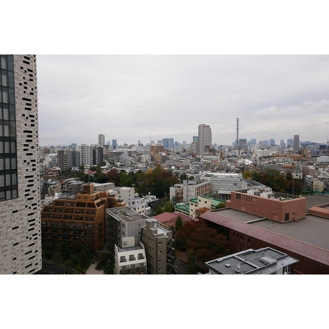 Conforia Shinjuku East Side Tower 1419 - 263589