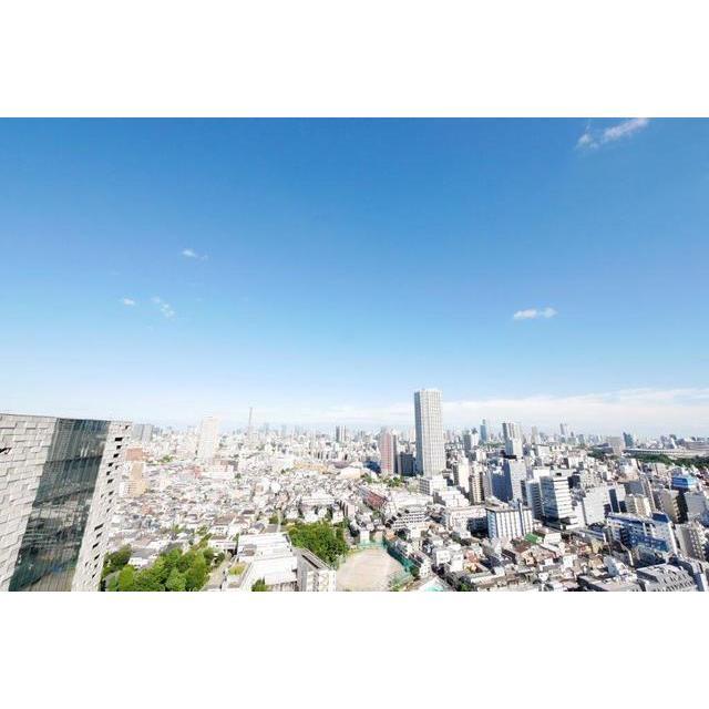 Conforia Shinjuku East Side Tower 2919 - 263647