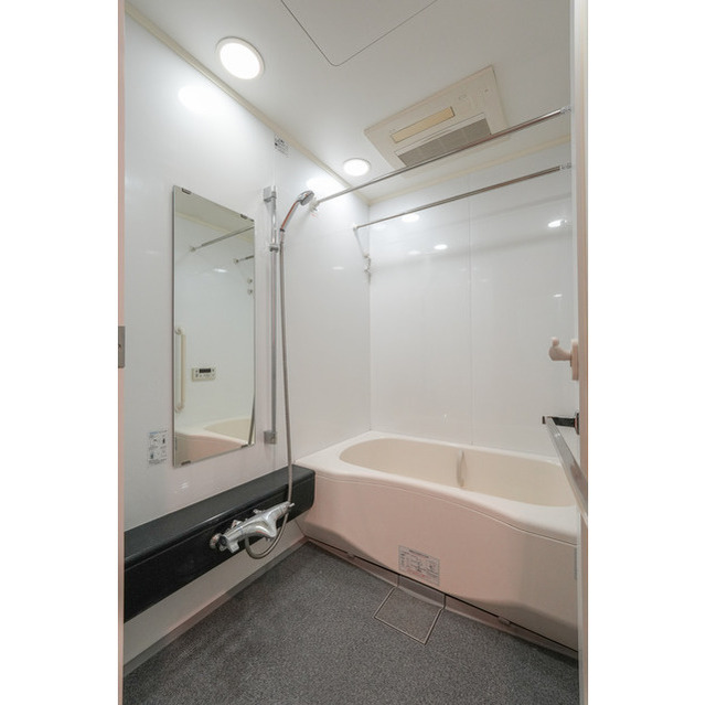 シティハウス東京新橋 804 - 266999