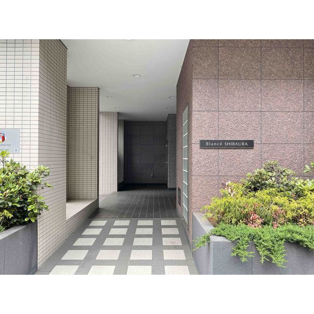 Ｂｌａｎｃｅ ＳＨＩＢＡＵＲＡ 704 - 264971