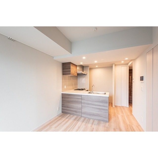 Milia Residence Asakusa Komagata 1104 - 265338