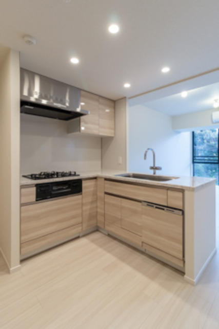 Conote Myogadani 402 - 272174