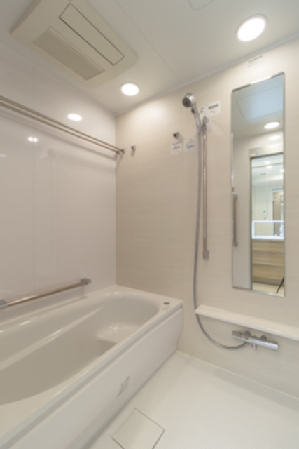 Conote Myogadani 302 - 272164