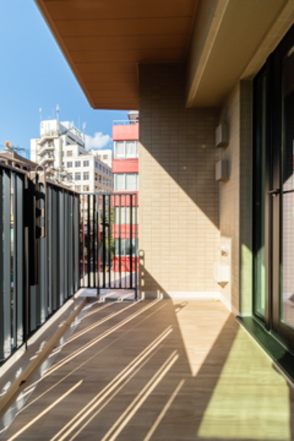 Conote Myogadani 302 - 272169