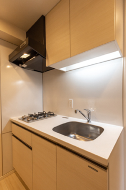 Prime Residence Shibuya 1101 - 272745