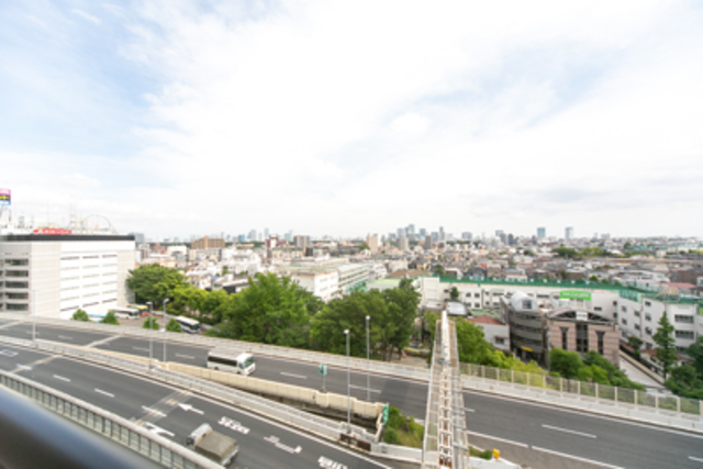 Irene Hatsudai 1003 - 272795