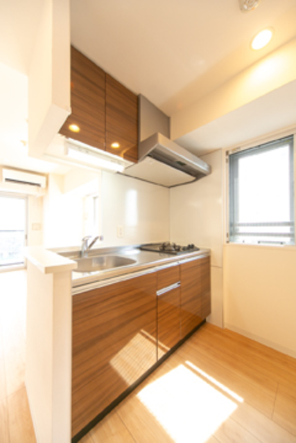 Irene Hatsudai 1003 - 272790