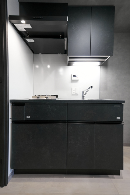 Alivio Gakugei University 304 - 275395