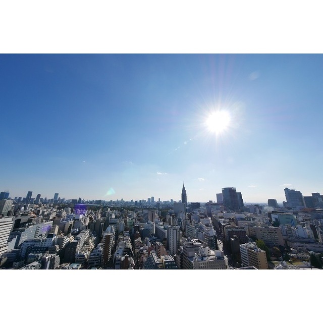 コンフォリア新宿イーストサイドタワー 2811 - 286161