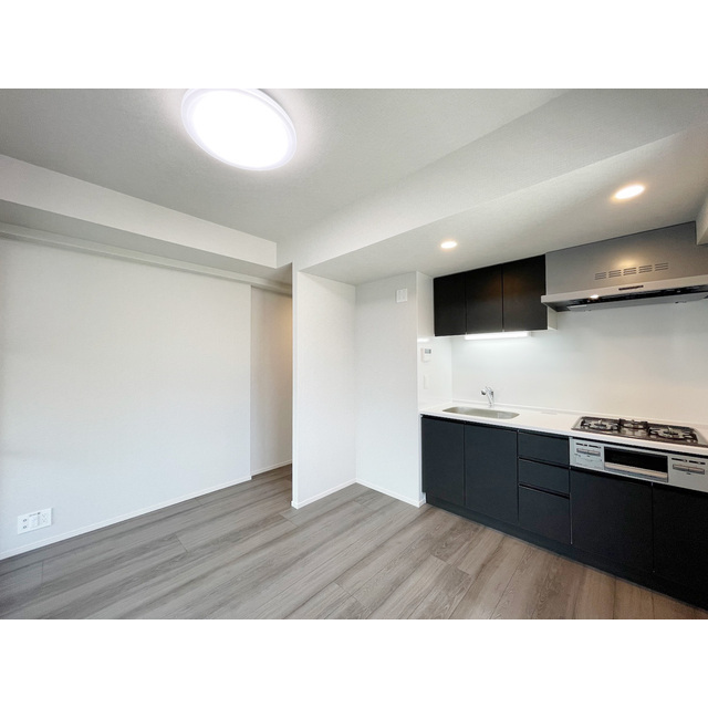 Geoent Asakusa Kaminarimon 1001 - 286479